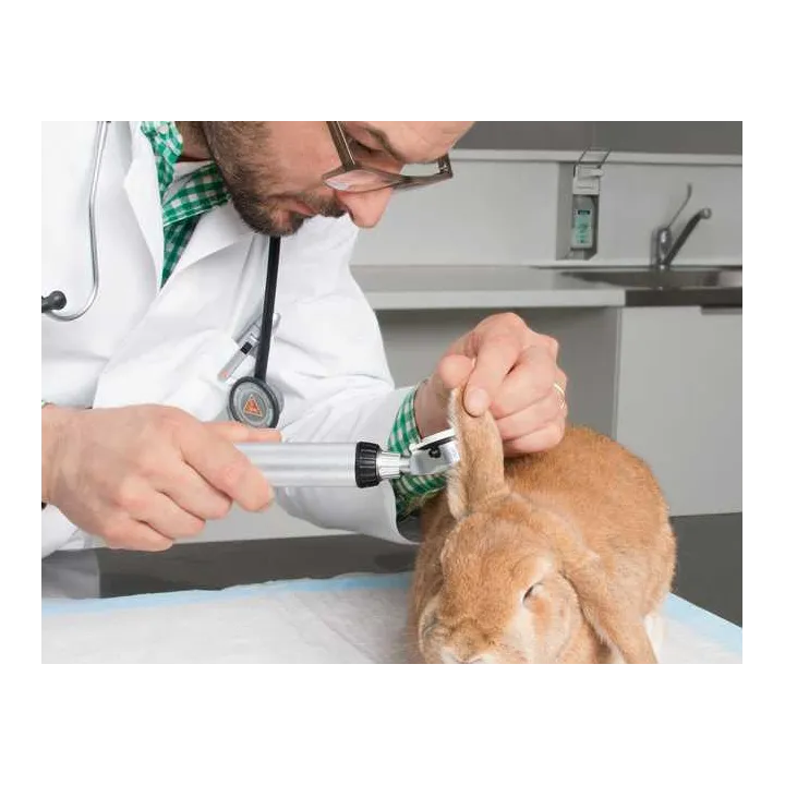 HEINE BETA 200 VET LED Otoscopio veterinario con mango recargable