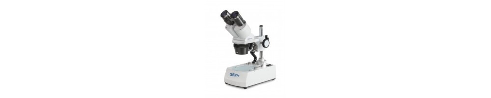 Microscopio estéreo