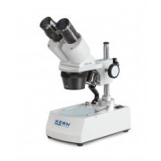 Microscopio estéreo