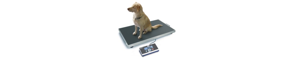 Básculas veterinarias para animales pequeños y medianos