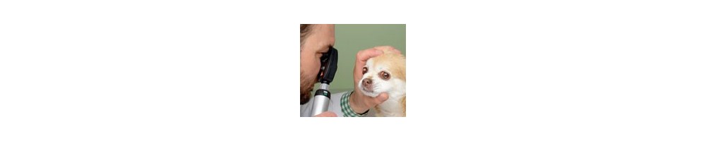 Productos veterinarios para examen ocular