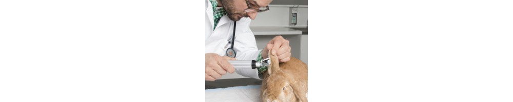 Productos veterinarios para examen de oído